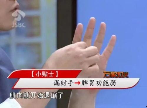 成人调理脾胃操作视频,跟随视频轻松掌握成人养生秘诀