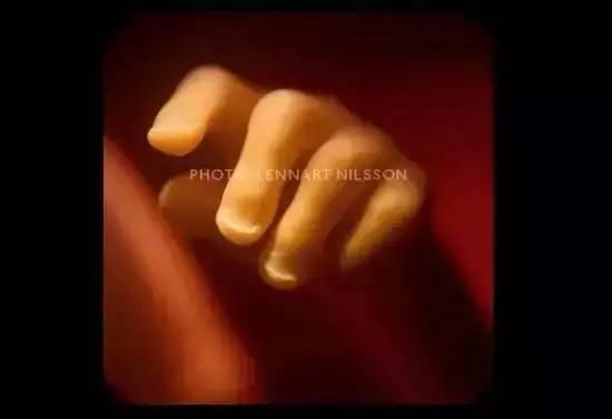 精子视频成人,成人世界的隐秘视角