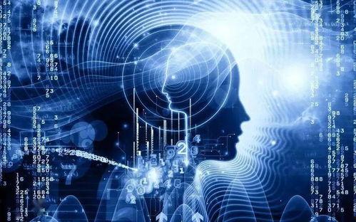 形成人类视频的条件,揭秘人类视频形成的五大关键条件