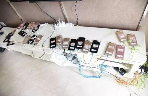 成人免费视频观看500,尽在指尖