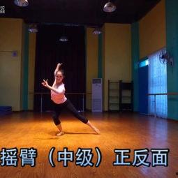 小陈摇成人舞蹈视频大全,成人舞蹈视频大全精彩呈现