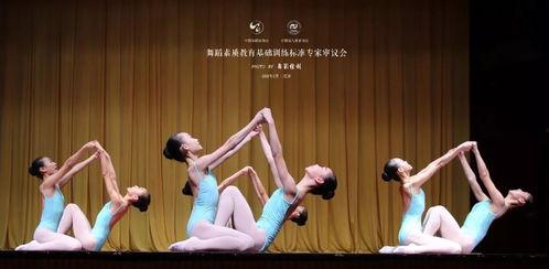 广安成人舞蹈教学视频大全,舞动人生，尽享舞蹈魅力