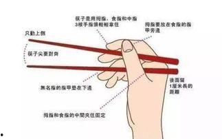成人筷子姿势矫正视频