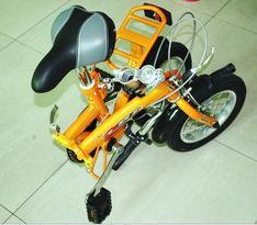 成人迷你自行车直播视频,轻松健身新潮流