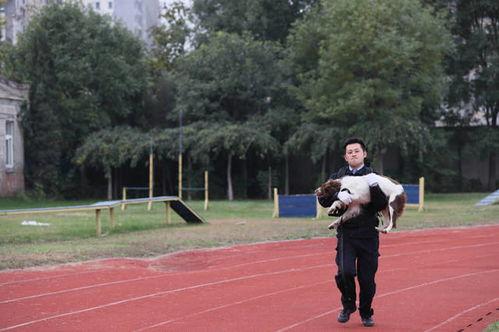 趣味成人接力跑步赛视频,激情四溢，笑点连连的成人欢乐盛宴